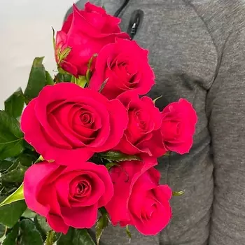 ЦВЕТЫ ДЛЯ ВАС Букет из 7 розовых роз (Эквадор) 60 см