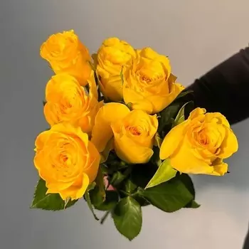 ЦВЕТЫ ДЛЯ ВАС Букет из 7 желтых роз (Кения)