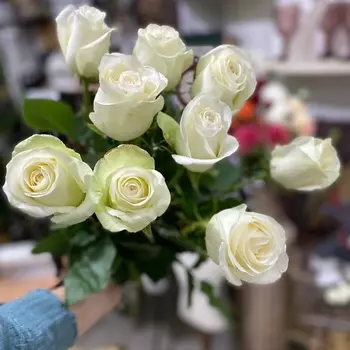 ЦВЕТЫ ДЛЯ ВАС Букет из 9 белых роз (Эквадор) 60 см