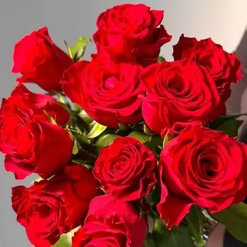 ЦВЕТЫ ДЛЯ ВАС Букет из 9 красных роз (Кения)