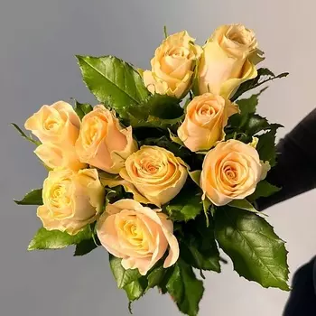 ЦВЕТЫ ДЛЯ ВАС Букет из 9 кремовых роз (Кения)