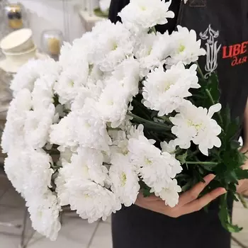 ЦВЕТЫ ДЛЯ ВАС Букет из 9 кустовых хризантем белых