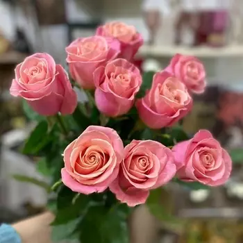 ЦВЕТЫ ДЛЯ ВАС Букет из 9 нежно персиковых роз (Эквадор) 60 см