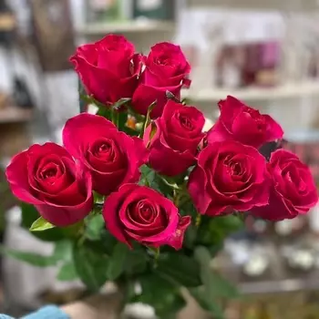 ЦВЕТЫ ДЛЯ ВАС Букет из 9 розовых роз (Эквадор) 60 см