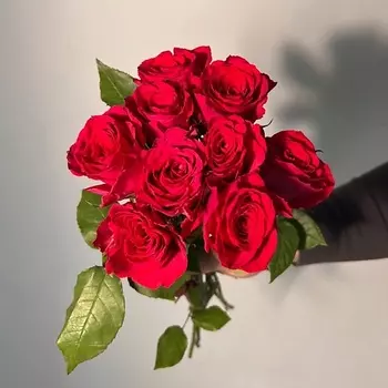 ЦВЕТЫ ДЛЯ ВАС Букет из 9 розовых роз (Кения)