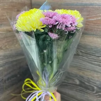 ЦВЕТЫ ДЛЯ ВАС Букет Сборный из хризантем 25х50 см