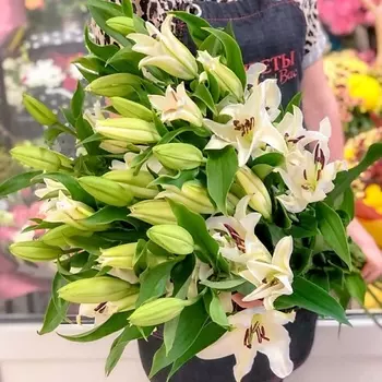 ЦВЕТЫ ДЛЯ ВАС Лилии 3 шт