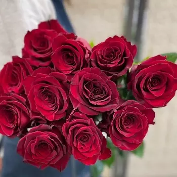 ЦВЕТЫ ДЛЯ ВАС Роза красная 11 шт