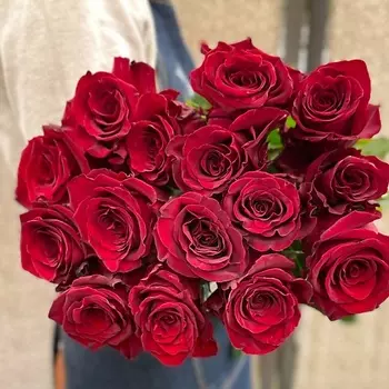 ЦВЕТЫ ДЛЯ ВАС Роза красная 15 шт
