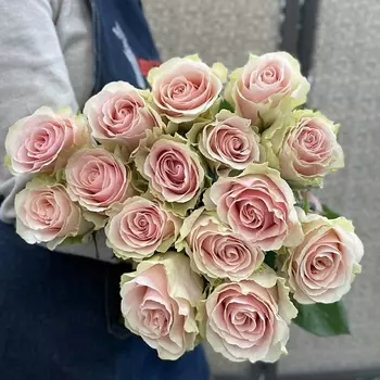 ЦВЕТЫ ДЛЯ ВАС Роза кремово розовая 15 шт