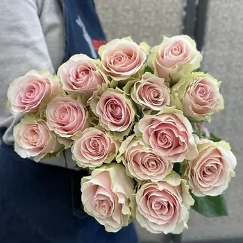 ЦВЕТЫ ДЛЯ ВАС Роза кремово розовая 19 шт