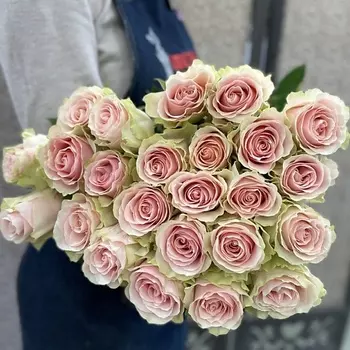 ЦВЕТЫ ДЛЯ ВАС Роза кремово розовая 25 шт