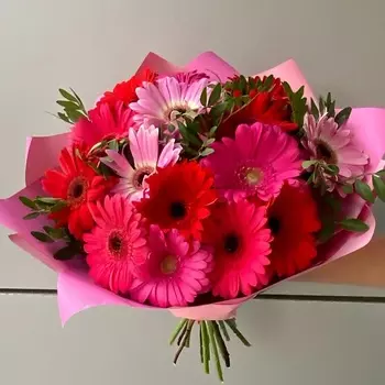 ЦВЕТЫ+ПОДАРКИ Букет из Герберы