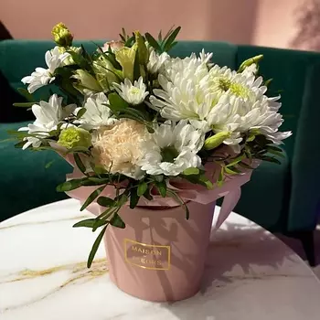 DARI ЦВЕТЫ Композиция в кашпо