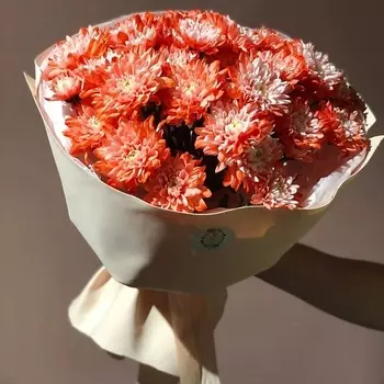 DARI ЦВЕТЫ Монобукет из кустовой хризантемы