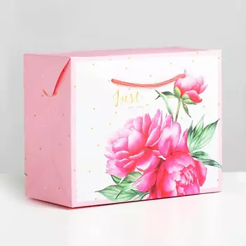 ДАРИТЕ СЧАСТЬЕ Пакет—коробка, подарочная упаковка, "Just for you"