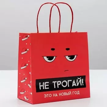 ДАРИТЕ СЧАСТЬЕ Пакет подарочный "Это на новый год"