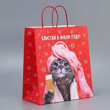 ДАРИТЕ СЧАСТЬЕ Пакет подарочный крафтовый "Блистай"