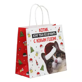 ДАРИТЕ СЧАСТЬЕ Пакет подарочный новогодний крафтовый «Котик»