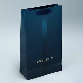 ДАРИТЕ СЧАСТЬЕ Пакет подарочный под две бутылки, упаковка, "Present"