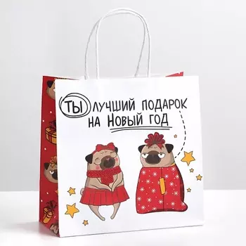 ДАРИТЕ СЧАСТЬЕ Пакет подарочный "Ты - лучший подарок"