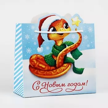 ДАРИТЕ СЧАСТЬЕ Пакет подарочный "Змейка"