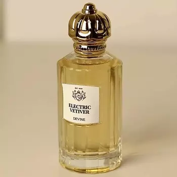 DEVINE Парфюмерная вода Electric Vetiver 100.0