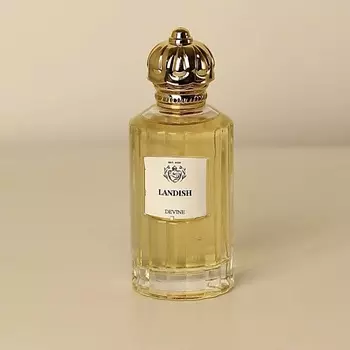 DEVINE Парфюмерная вода Landish 100.0