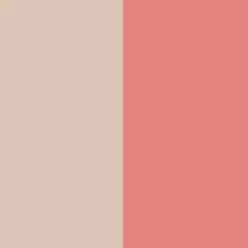 DIOR Румяна для контуринга Diorskin blush color and light