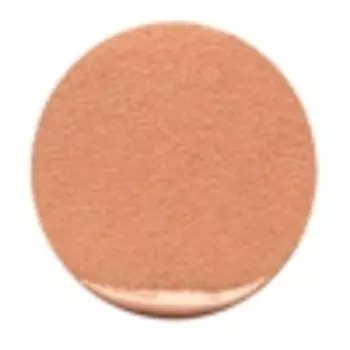 DIOR Универсальное омолаживающее и совершенствующее кожу средство Dreamskin Perfect Skin Cushion