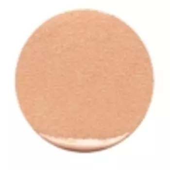 DIOR Универсальное омолаживающее и совершенствующее кожу средство Dreamskin Perfect Skin Cushion