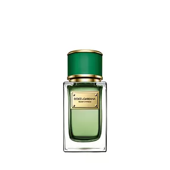 DOLCE&amp;GABBANA Velvet Collection Cypress