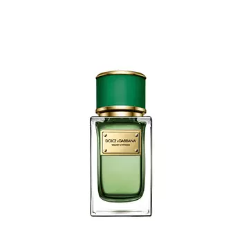 DOLCE&amp;GABBANA Velvet Collection Cypress
