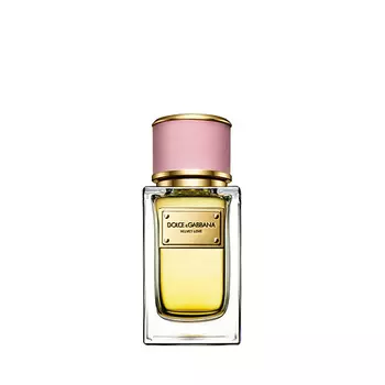 DOLCE&amp;GABBANA Velvet Collection Love