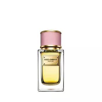 DOLCE&amp;GABBANA Velvet Collection Love