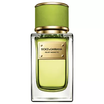 DOLCE&amp;GABBANA Velvet Collection Mughetto