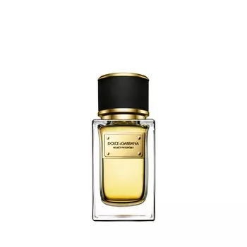 DOLCE&amp;GABBANA Velvet Collection Patchouli
