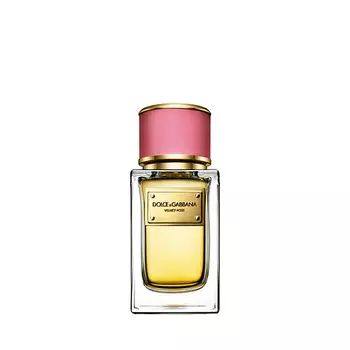 DOLCE&GABBANA Velvet Collection Rose 50