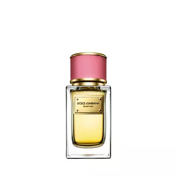 DOLCE&GABBANA Velvet Collection Rose 100