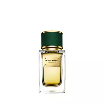 DOLCE&GABBANA Velvet Collection Vetiver 50