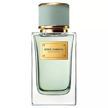DOLCE&GABBANA Velvet Infusion 100