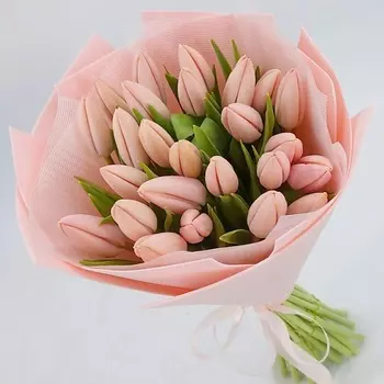 ДОМ ЦВЕТОВ АННЫ БАКАЛОВОЙ Букет из 25 розовых тюльпанов