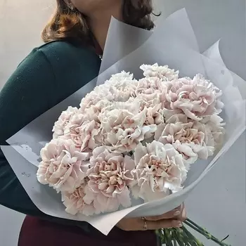 ДОМ ЦВЕТОВ АННЫ БАКАЛОВОЙ Монобукет из 11 нежных диантусов