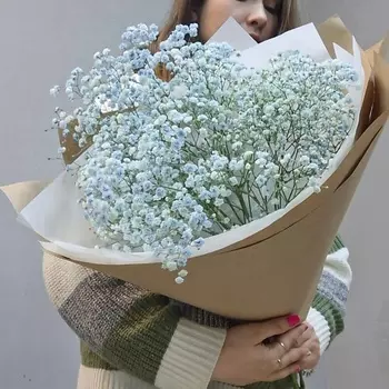 ДОМ ЦВЕТОВ АННЫ БАКАЛОВОЙ Монобукет из голубой гипсофилы