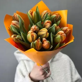 ДОМ ЦВЕТОВ АННЫ БАКАЛОВОЙ Тюльпаны пионовидные