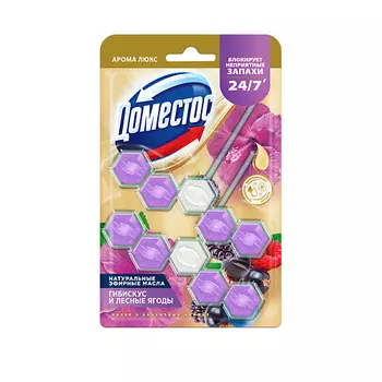 DOMESTOS Блок для очищения унитаза POWER 5+ СКАЗОЧНЫЙ АРОМАТ Дуо