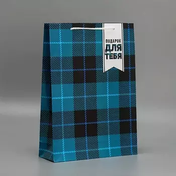 ДОСТУПНЫЕ РАДОСТИ Пакет подарочный ламинированный, упаковка, Real man