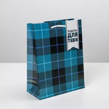 ДОСТУПНЫЕ РАДОСТИ Пакет подарочный ламинированный, упаковка, Real man