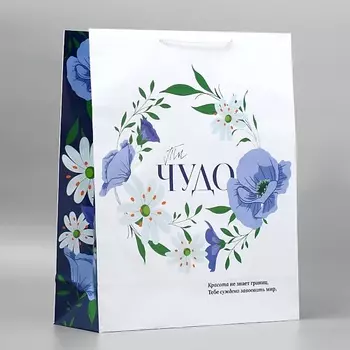 ДОСТУПНЫЕ РАДОСТИ Пакет подарочный ламинированный, упаковка, "Ты чудо"