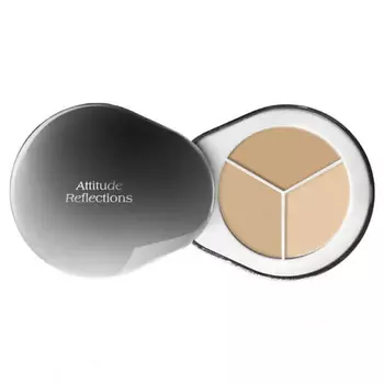 DR.ALTHEA Консилер для лица Perfect Cover Concealer Palette 3.9